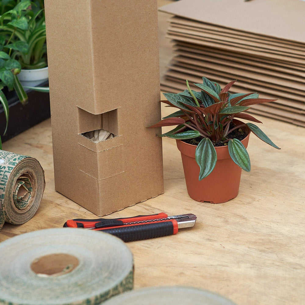 Temperpack Inserts 4